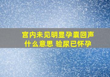 宫内未见明显孕囊回声什么意思 验尿已怀孕